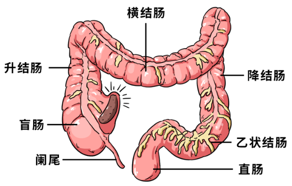 QQ图片20220725083318