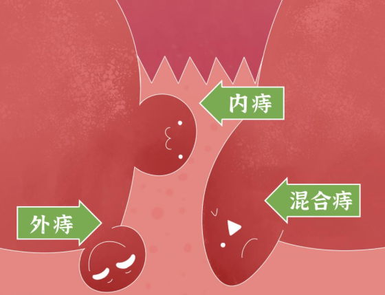 QQ图片20230726100135