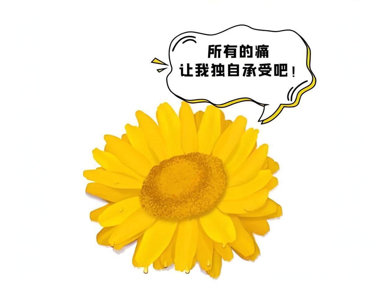 02561952-f806-4594-8678-48a8944d586e