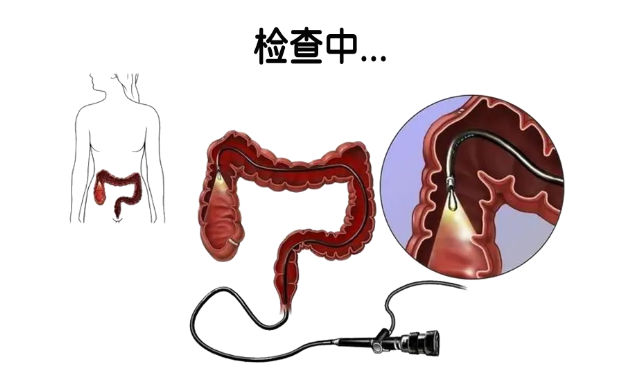 QQ图片20231126094656 QQ图片20231126094656