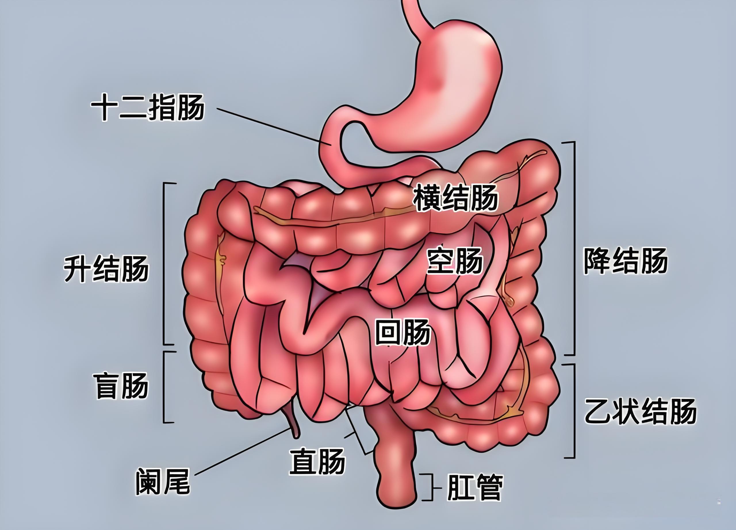 a42a074f-5e11-4cd0-80ab-5a4d3144f5ba a42a074f-5e11-4cd0-80ab-5a4d3144f5ba
