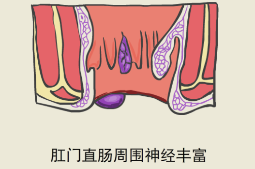 QQ图片20231128105258