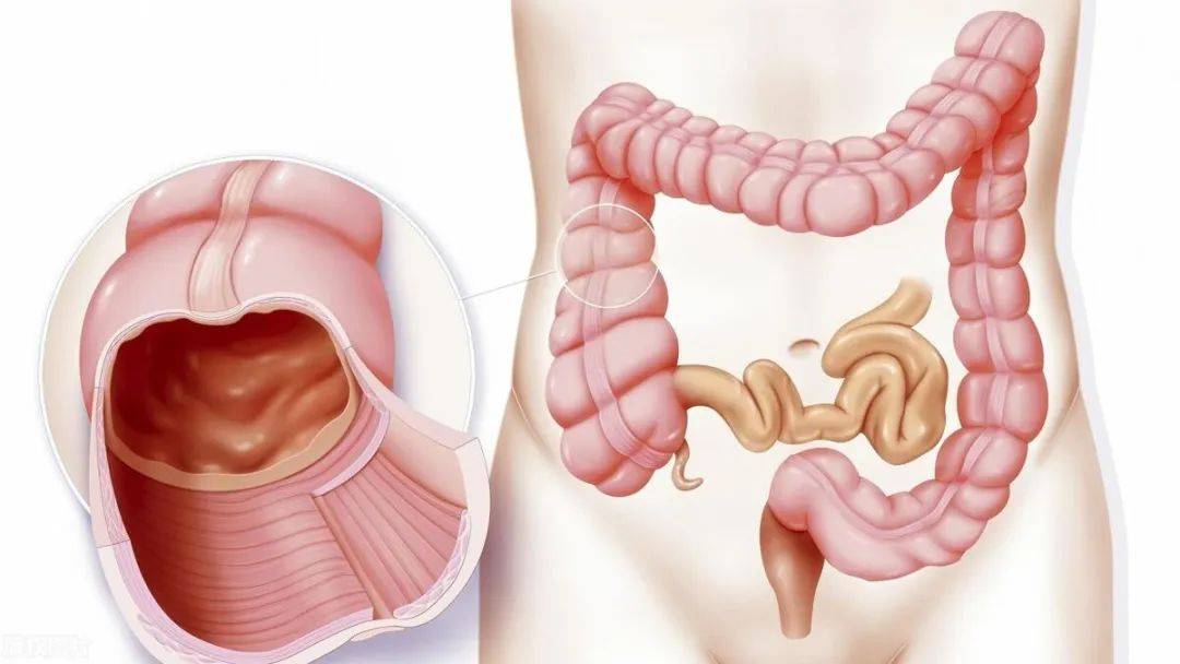 dde5516f8ba54ce2887047fb0fe257fc (1)