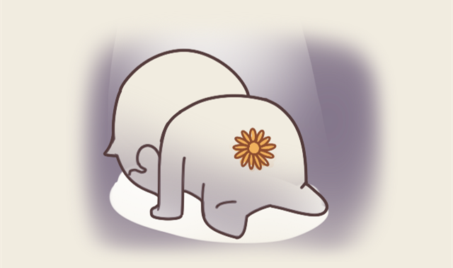 8c33589cf1b94f1e9fa1ba29dd54dc80 8c33589cf1b94f1e9fa1ba29dd54dc80