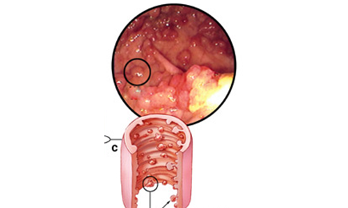 o4YBAFl5YNWAChbLZo4Fc717