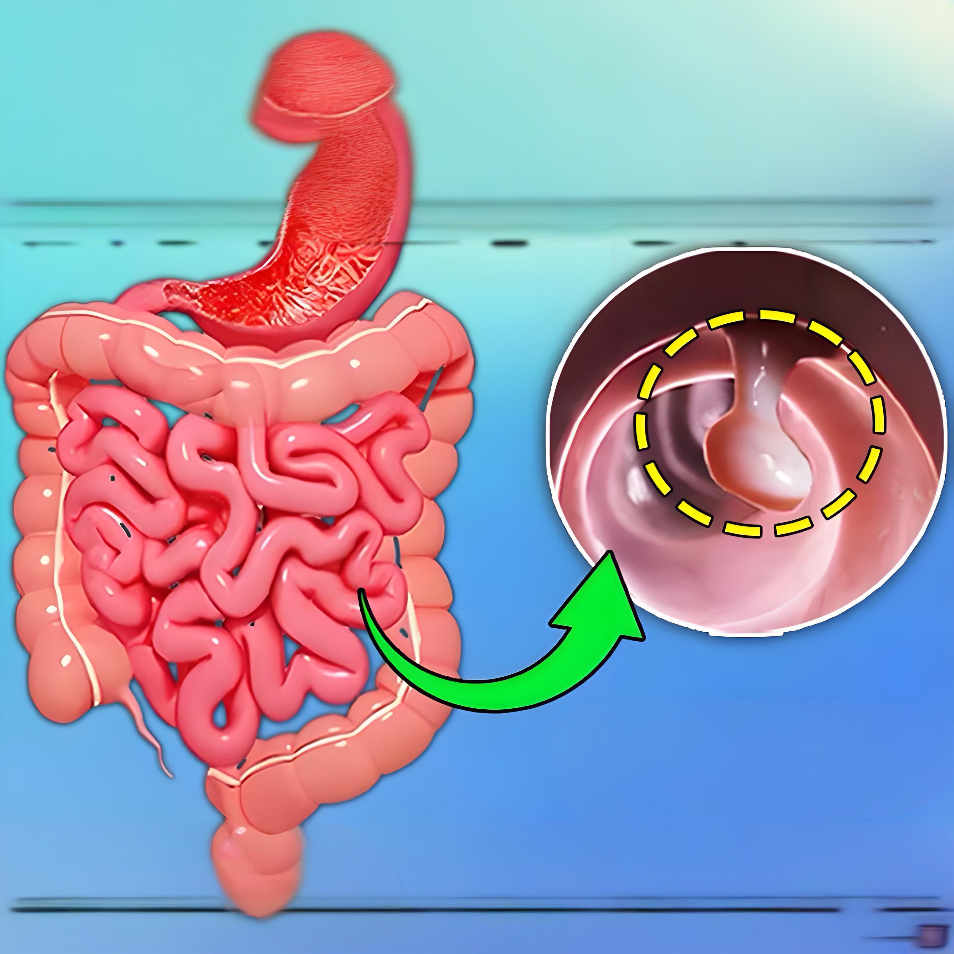 9c955fd7-fb77-4dc4-9bce-a9e624c3f763 9c955fd7-fb77-4dc4-9bce-a9e624c3f763