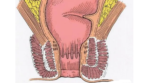QQ图片20220624093105 QQ图片20220624093105