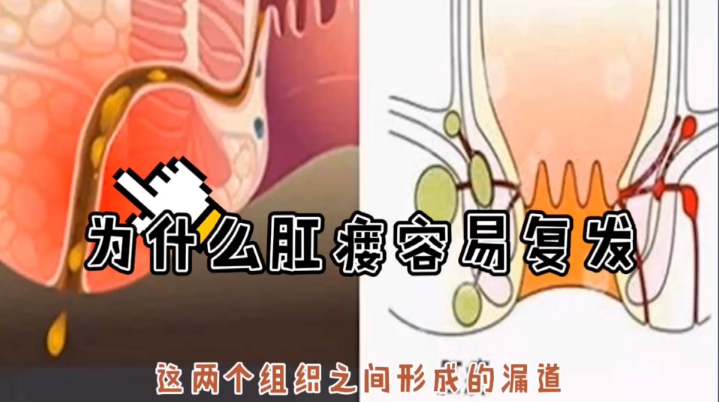 QQ图片20230214112500