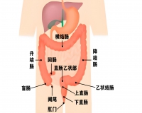 如何知道自己得了肛肠病?