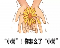 痔疮手术一般住几天院?