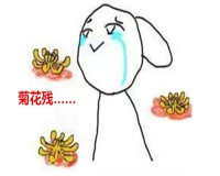 大便出鲜血是什么原因?
