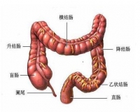 结肠炎怎么预防?