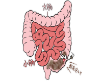 哪些情况算便便异常呢?