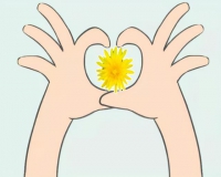 肛门息肉和痔疮区别图?