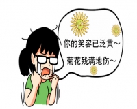 菊花发威，给你点颜色瞧瞧?