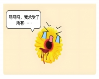 先了解肛瘘的形成过程?