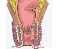 肛门疼痛的原因?