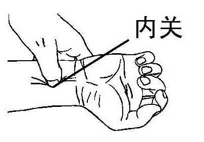 内关穴.png