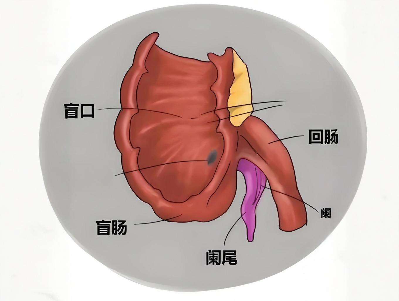 0515d77a-ae00-48a7-a6b8-133b5cd818fb
