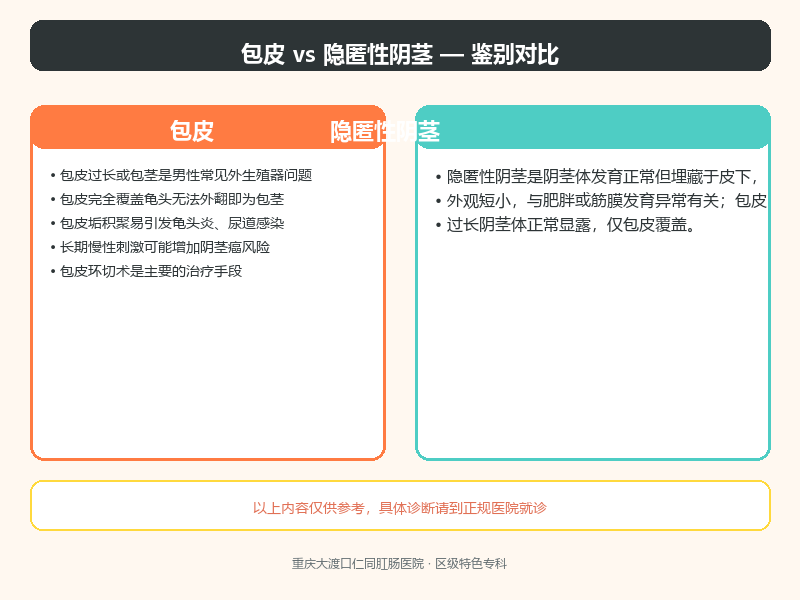 包皮与隐匿性阴茎