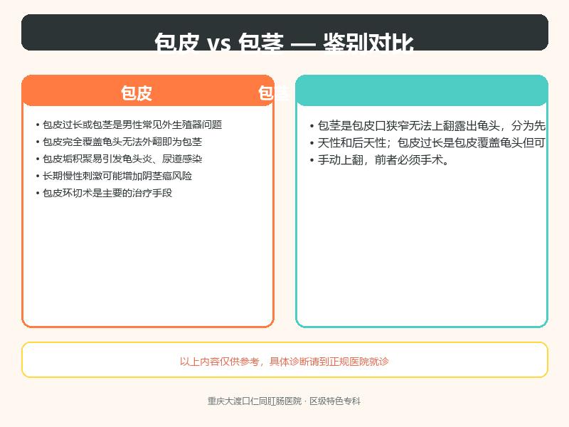 包皮与包茎