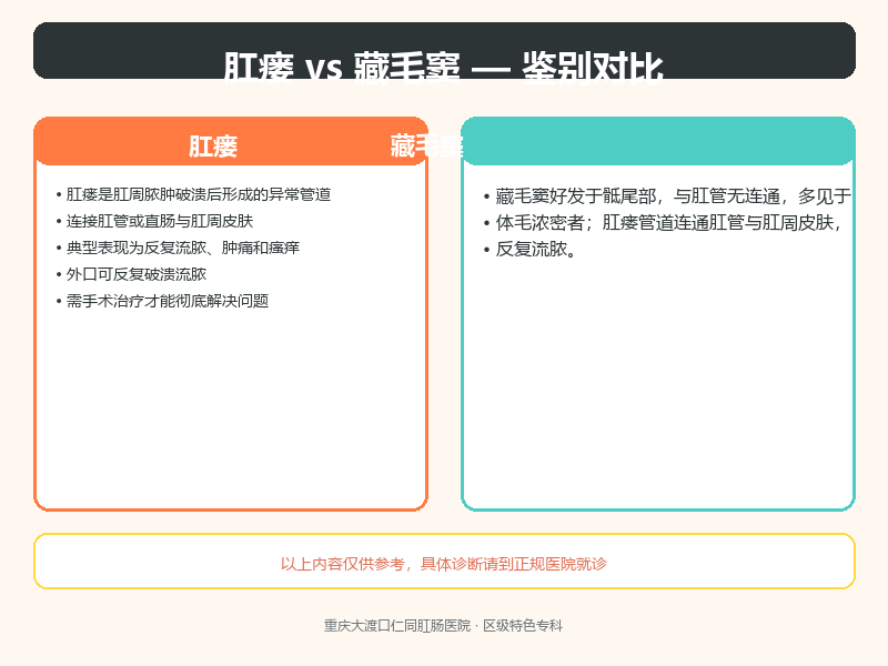 肛瘘与藏毛窦的鉴别要点