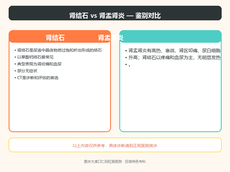肾结石与肾盂肾炎