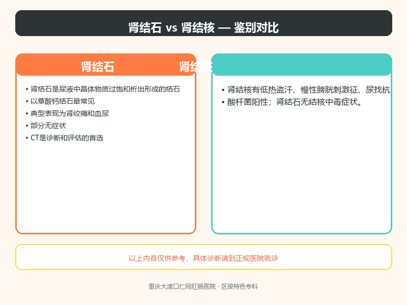 肾结石与肾结核
