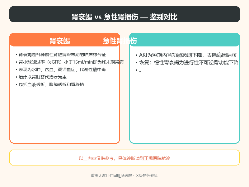 肾衰竭与急性肾损伤