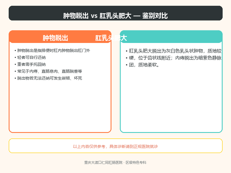 肿物脱出与肛乳头肥大的鉴别
