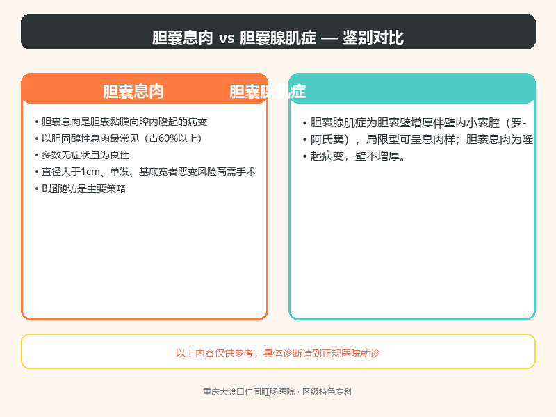 胆囊息肉与胆囊腺肌症