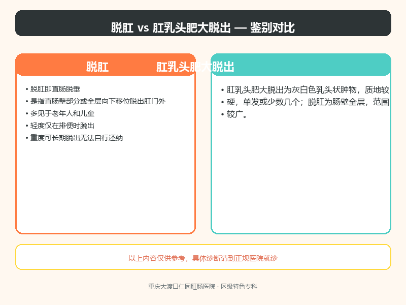 脱肛与肛乳头肥大脱出的鉴别要点