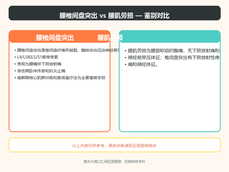 腰椎间盘突出与腰肌劳损