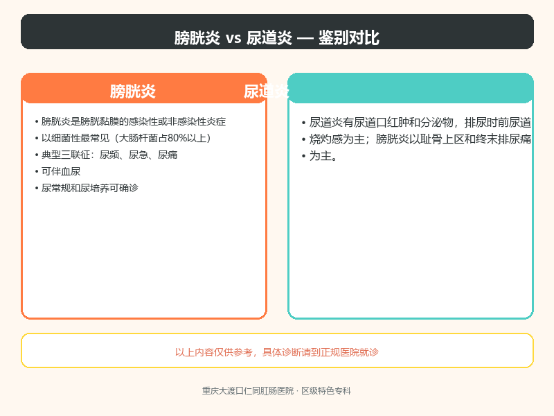 膀胱炎与尿道炎
