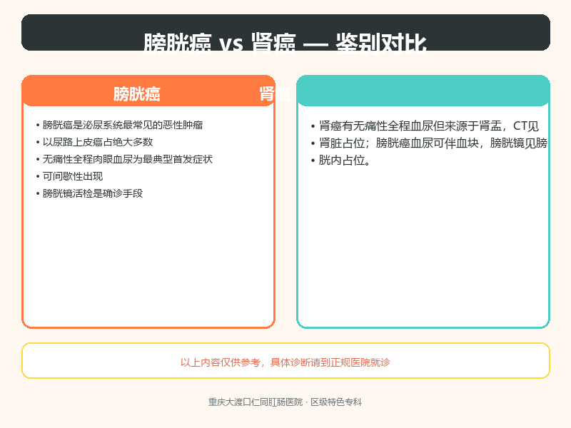 膀胱癌与肾癌