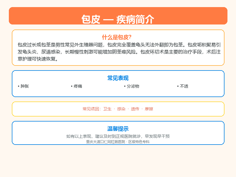 包皮科普示意图