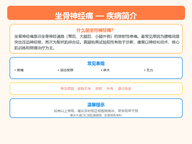 坐骨神经痛科普示意图