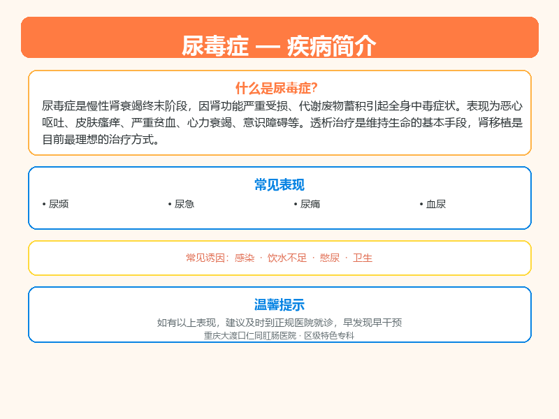 尿毒症科普示意图