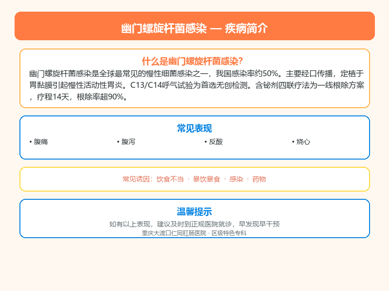幽门螺旋杆菌感染科普示意图