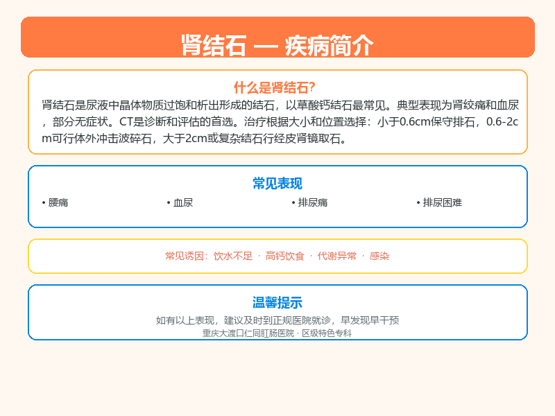 肾结石科普示意图