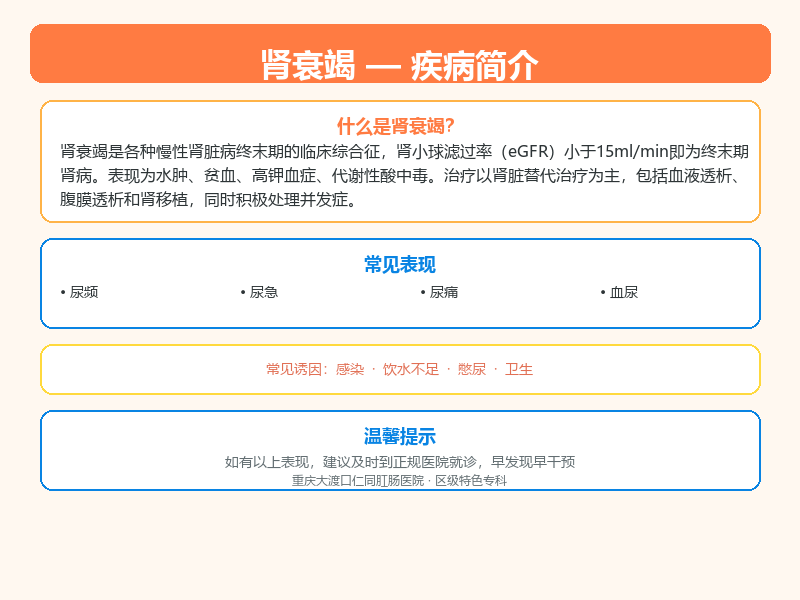 肾衰竭科普示意图