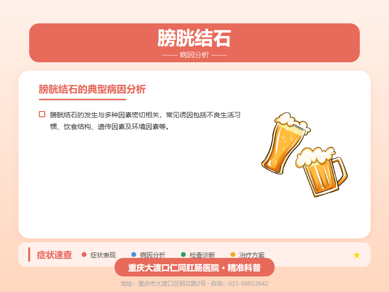 膀胱结石病因分析